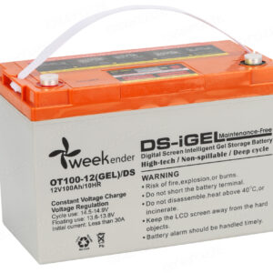 Аккумулятор для лодочного электромотора Weekender 12V100AH DS GEL